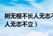 樹無根不長人無志不立是諺語嗎（樹無根不長人無志不立）
