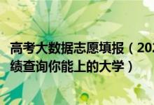 高考大數(shù)據(jù)志愿填報(bào)（2022年高考志愿大數(shù)據(jù)查詢：輸入成績(jī)查詢你能上的大學(xué)）