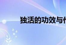 獨(dú)活的功效與作用（一起來(lái)看看）
