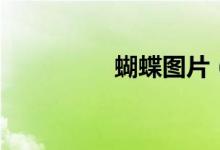 蝴蝶圖片（蝴蝶過(guò)山門）