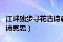 江畔獨(dú)步尋花古詩意思解釋（江畔獨(dú)步尋花古詩意思）