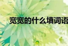 寬寬的什么填詞語一年級（寬寬的什么）