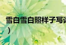 雪白雪白照樣子寫詞語（四個(gè)字的疊詞有哪些）