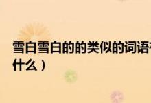 雪白雪白的的類似的詞語(yǔ)有哪些（雪白雪白的類似的詞語(yǔ)有什么）