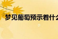 夢見葡萄預(yù)示著什么（九種情況為你解析）