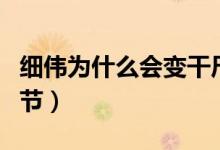 細(xì)偉為什么會(huì)變干尸（有沒有人注意到這個(gè)細(xì)節(jié)）
