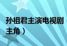 孫祖君主演電視劇（孫祖君在什么電視劇里是主角）