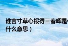 誰言寸草心報(bào)得三春暉是什么詩（誰言寸草心報(bào)得三春暉是什么意思）