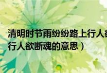 清明時(shí)節(jié)雨紛紛路上行人欲斷魂日文（清明時(shí)節(jié)雨紛紛 路上行人欲斷魂的意思）