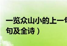 一覽眾山小的上一句意思（一覽眾山小的上一句及全詩(shī)）