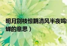 明月別枝驚鵲清風半夜鳴蟬誦讀（明月別枝驚鵲清風半夜鳴蟬的意思）