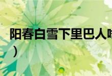 陽(yáng)春白雪下里巴人啥意思(陽(yáng)春白雪下里巴人)