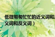 低微匆匆忙忙的近義詞和反義詞是什么(低微匆匆忙忙的近義詞和反義詞)