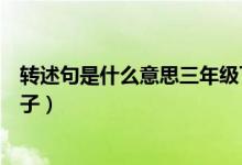 轉(zhuǎn)述句是什么意思三年級下冊第幾課（轉(zhuǎn)述句是什么意思例子）