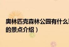 奧林匹克森林公園有什么玩的（奧林匹克森林公園里面好玩的景點介紹）