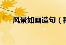 風(fēng)景如畫造句（我的家鄉(xiāng)風(fēng)景美如畫）
