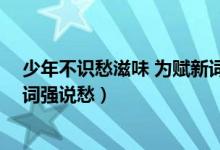 少年不識愁滋味 為賦新詞強(qiáng)說愁（少年不知愁滋味 為賦新詞強(qiáng)說愁）