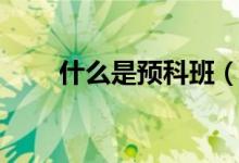 什么是預科班（預科班是什么文憑）