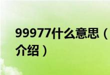 99977什么意思(女生發(fā)99977有何內(nèi)涵梗介紹)
