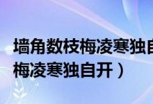 墻角數(shù)枝梅凌寒獨自開告訴我什么（墻角數(shù)枝梅凌寒獨自開）