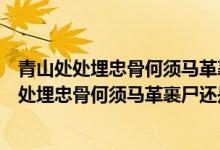 青山處處埋忠骨何須馬革裹尸還是誰寫的己亥雜詩（青山處處埋忠骨何須馬革裹尸還是誰寫的）