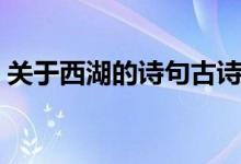 關(guān)于西湖的詩句古詩（關(guān)于西湖的古詩精選）