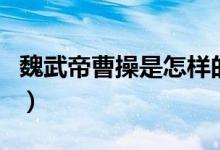 魏武帝曹操是怎樣的人（魏武帝曹操個人介紹）