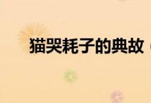 貓哭耗子的典故（貓哭耗子的歇后語）