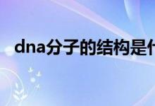 dna分子的結(jié)構(gòu)是什么結(jié)構(gòu)（有什么特點）