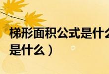 梯形面積公式是什么時候?qū)W的（梯形面積公式是什么）