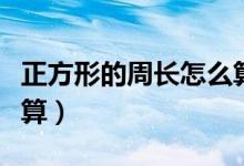正方形的周長(zhǎng)怎么算平方（正方形的周長(zhǎng)怎么算）