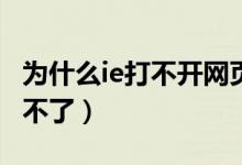 為什么ie打不開網(wǎng)頁（手機瀏覽器有些網(wǎng)站進(jìn)不了）