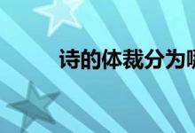 詩的體裁分為哪幾種（詩的體裁）