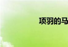項羽的馬(項羽的馬)