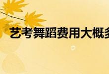 藝考舞蹈費用大概多少（集訓(xùn)需要多少錢）