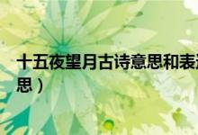 十五夜望月古詩(shī)意思和表達(dá)的思想感情（十五夜望月古詩(shī)意思）