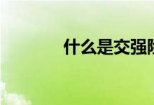 什么是交強險（交強險介紹）