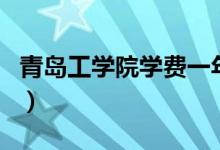 青島工學(xué)院學(xué)費(fèi)一年多少錢(青島工學(xué)院學(xué)費(fèi))