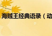 海賊王經典語錄（動畫片海賊王的經典句子）
