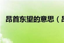 昂首東望的意思（昂首東望的意思是什么）