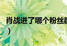 肖戰(zhàn)進(jìn)了哪個粉絲群（肖戰(zhàn)官方粉絲群怎么進(jìn)）