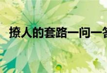 撩人的套路一問一答（最撩人的套路情話）