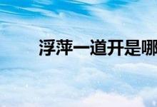 浮萍一道開(kāi)是哪首詩(shī)（浮萍一道開(kāi)）