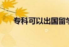 ?？瓶梢猿鰢?guó)留學(xué)嗎（有什么限制嗎）
