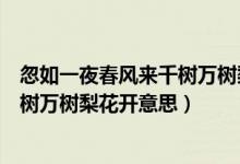 忽如一夜春風來千樹萬樹梨花開的翻譯（忽如一夜春風來千樹萬樹梨花開意思）