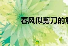 春風(fēng)似剪刀的意思（春風(fēng)似剪刀）
