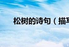 松樹的詩(shī)句(描寫松樹的詩(shī)句有哪些)