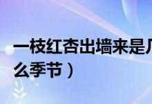 一枝紅杏出墻來是幾月(一枝紅杏出墻來是什么季節(jié))