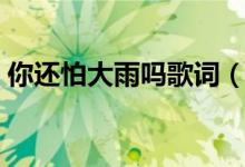 你還怕大雨嗎歌詞（你還怕大雨嗎歌曲簡介）
