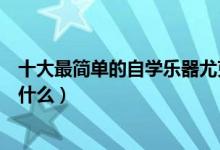 十大最簡單的自學(xué)樂器尤克里里（十大最簡單的自學(xué)樂器是什么）